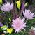 holiday floral arrangements