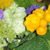 mooresville floral shops