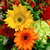 charlotte flower shops