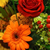 davidson flower shops