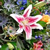 huntersville flower shops