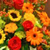 flower delivery service