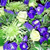 floral arrangements for holidays