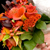 bridesmaid bouquets