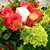 lilly bridal bouquet
